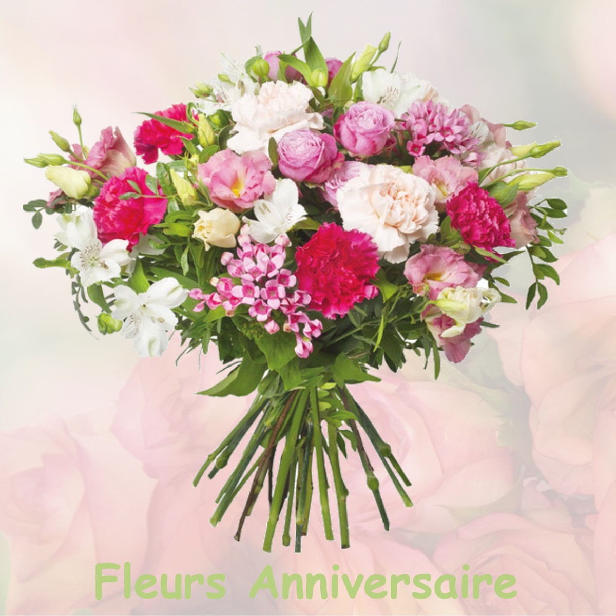 fleurs anniversaire VILLEGAILHENC